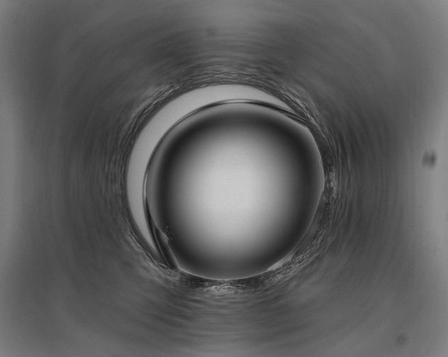 X0000096150423200801181207
