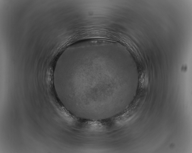 X0000096150424200801181206