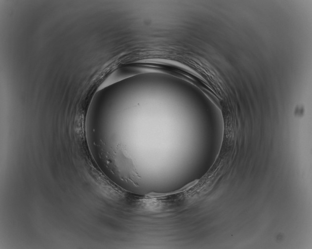 X0000096150425200801181206