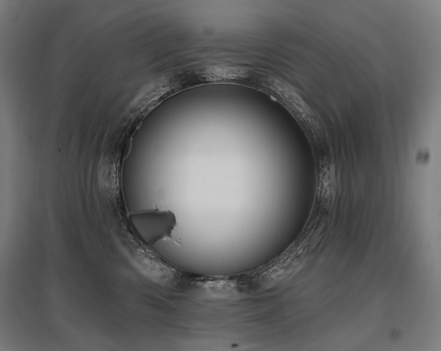 X0000096150426200801181206
