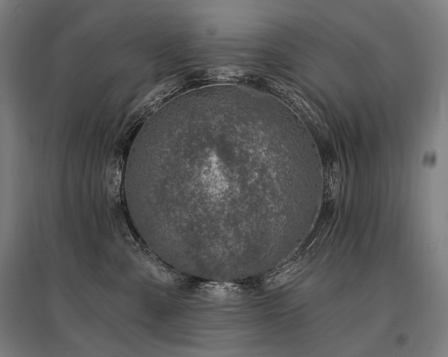 X0000096150427200801181206