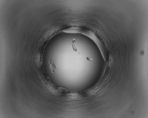 X0000096150428200801181206