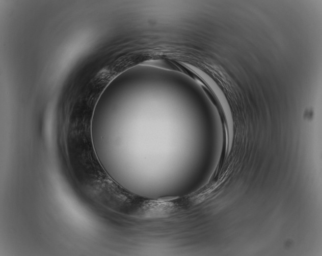 X0000096150429200801181206