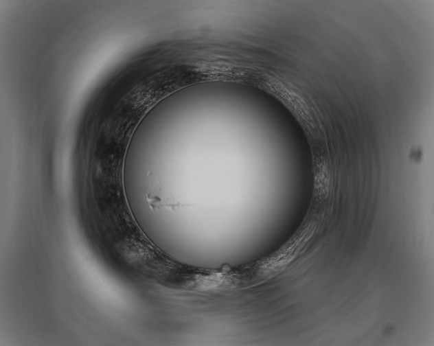 X0000096150430200801181206