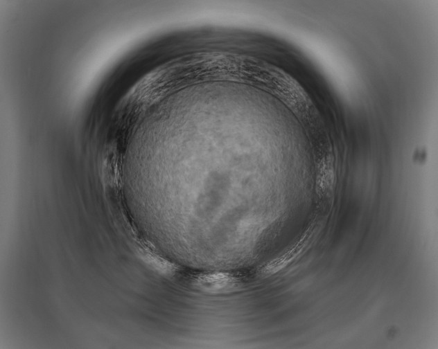 X0000096150431200801181206