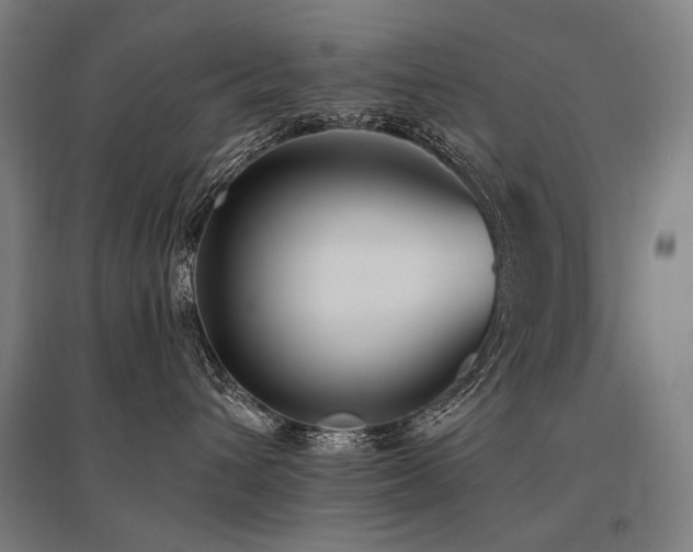 X0000096150432200801181206