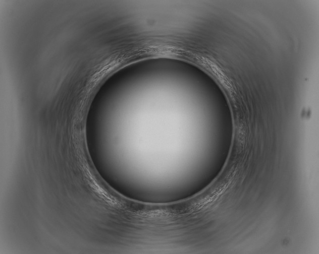 X0000096150433200801181206