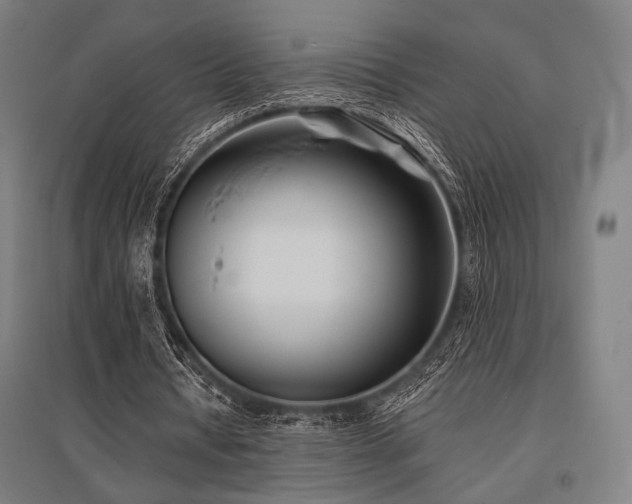 X0000096150434200801181206