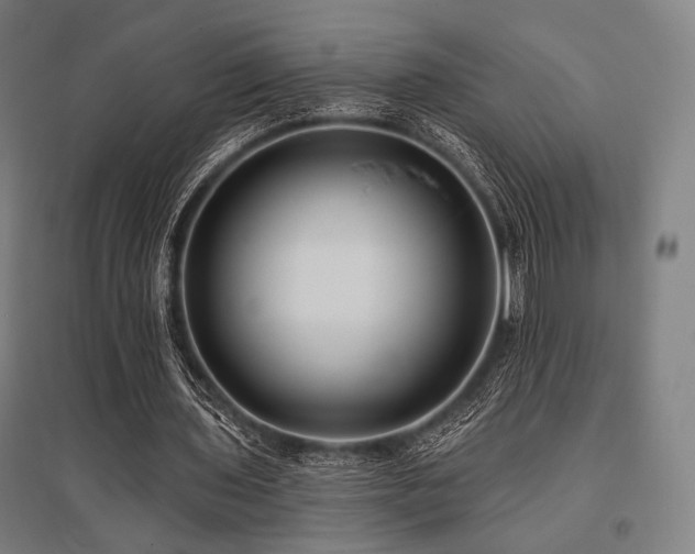 X0000096150435200801181206