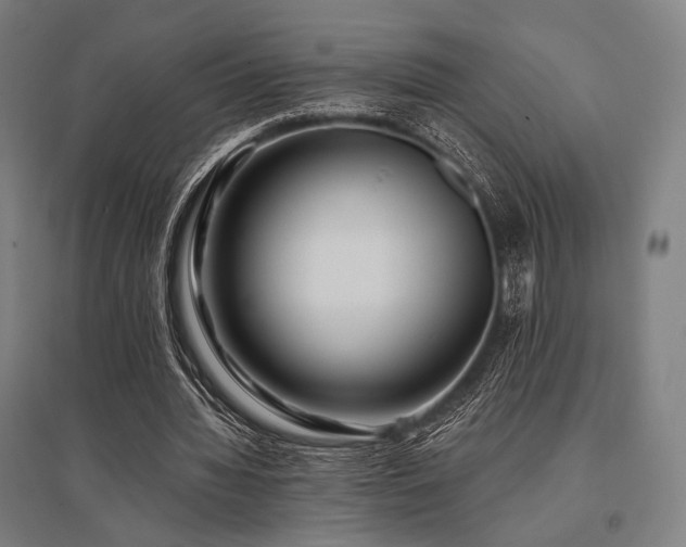 X0000096150436200801181206