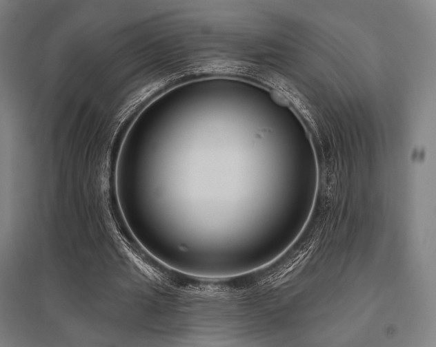 X0000096150437200801181206