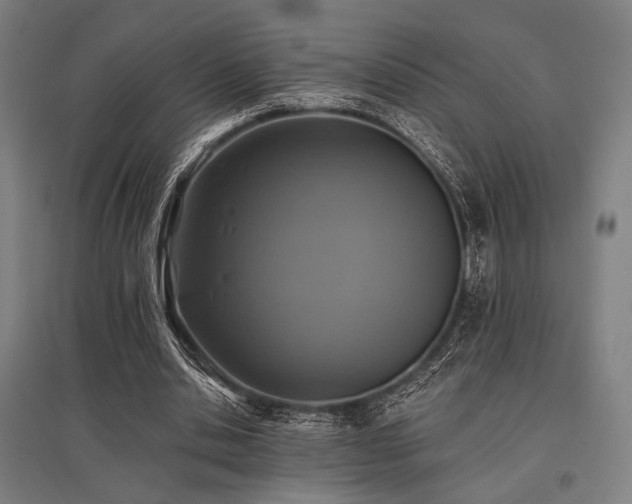 X0000096150438200801181206