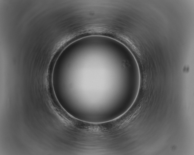 X0000096150439200801181206