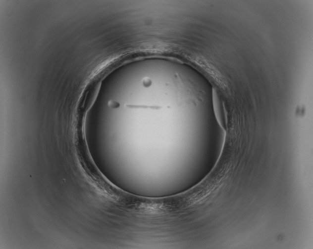 X0000096150440200801181206