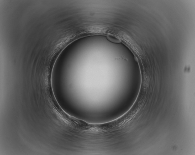 X0000096150441200801181206