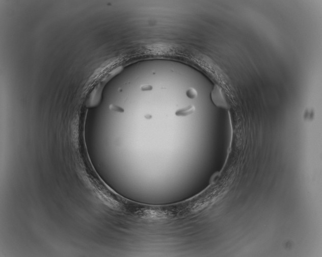 X0000096150442200801181206
