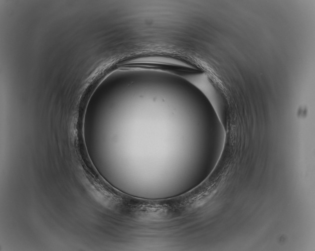 X0000096150443200801181206