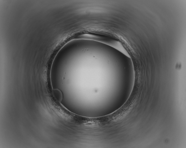 X0000096150447200801181206