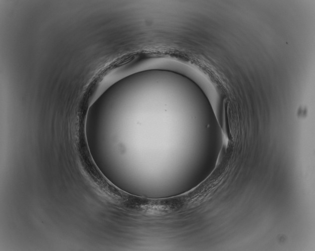 X0000096150448200801181206