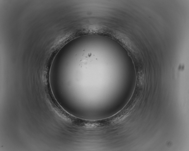 X0000096150450200801181206