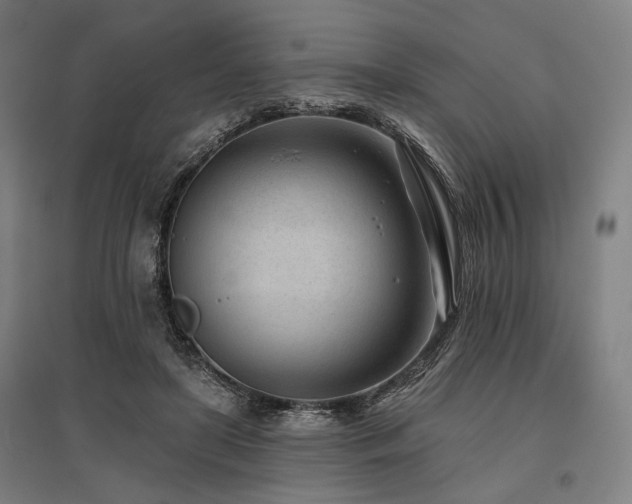X0000096150451200801181206