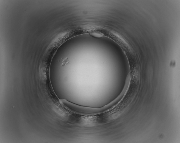 X0000096150452200801181206