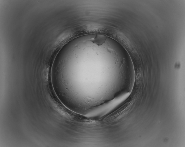 X0000096150454200801181206