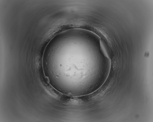 X0000096150455200801181206