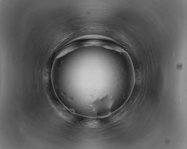 X0000096150456200801181206