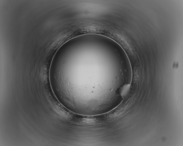 X0000096150457200801181206