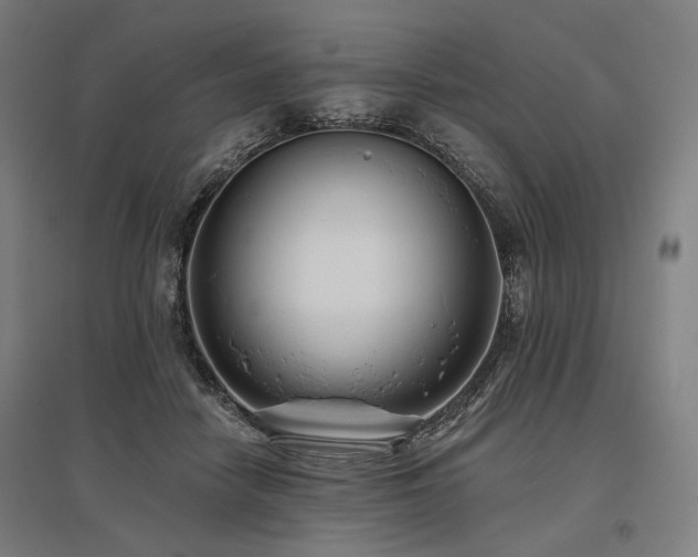 X0000096150458200801181206