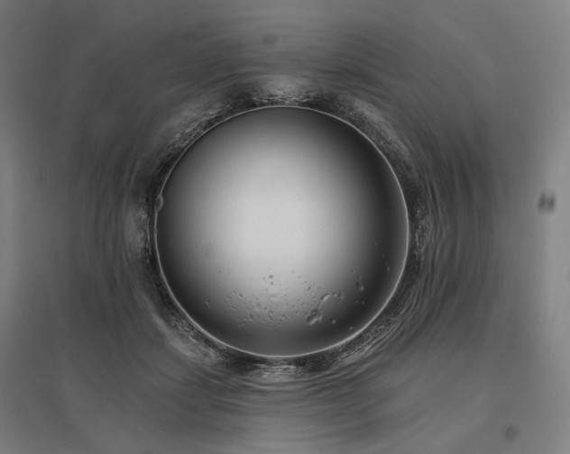 X0000096150459200801181206