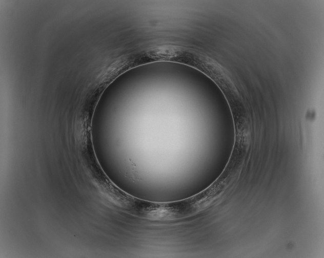 X0000096150460200801181206