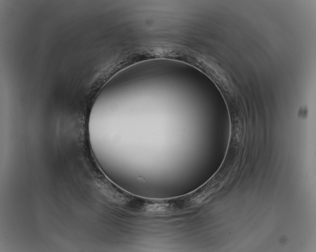 X0000096150461200801181206
