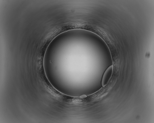 X0000096150462200801181206