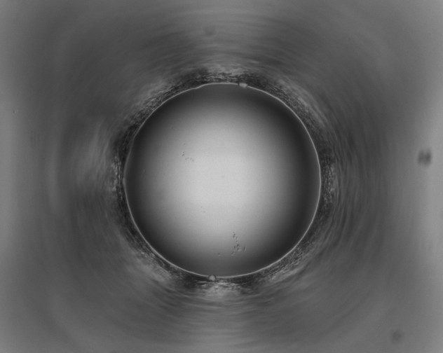 X0000096150463200801181206