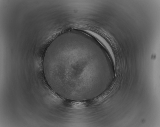 X0000096150465200801181206