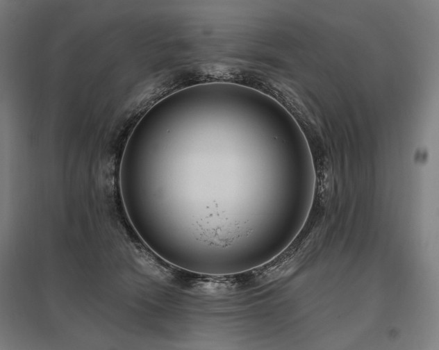 X0000096150466200801181206
