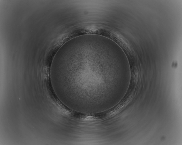 X0000096150467200801181206