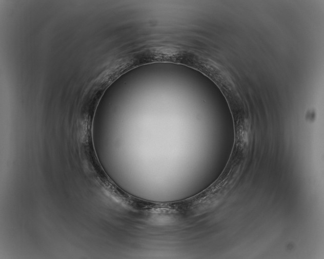 X0000096150468200801181206