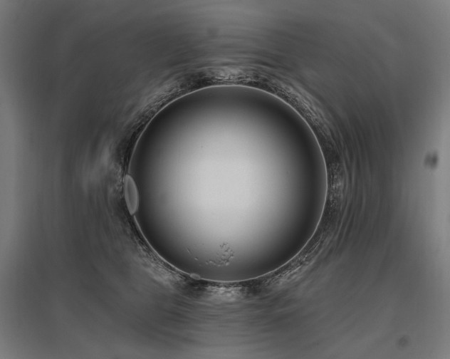 X0000096150469200801181206