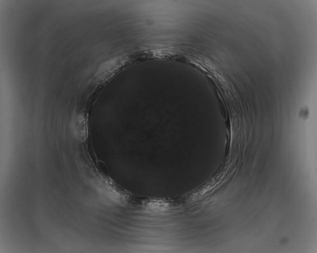 X0000096150471200801181206