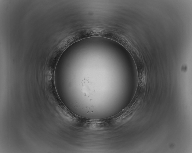 X0000096150472200801181206