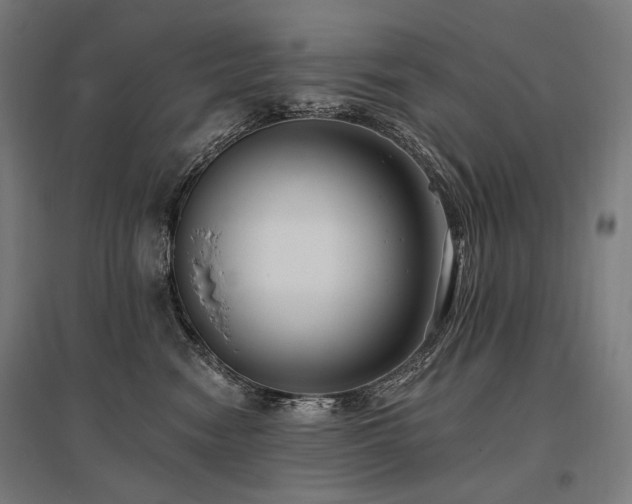 X0000096150474200801181206