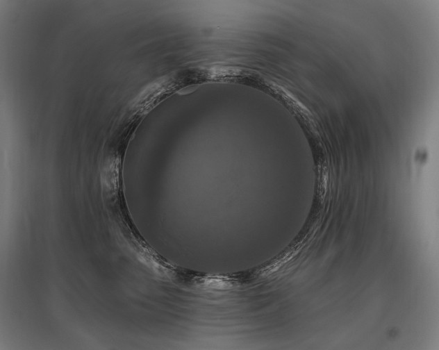 X0000096150475200801181206