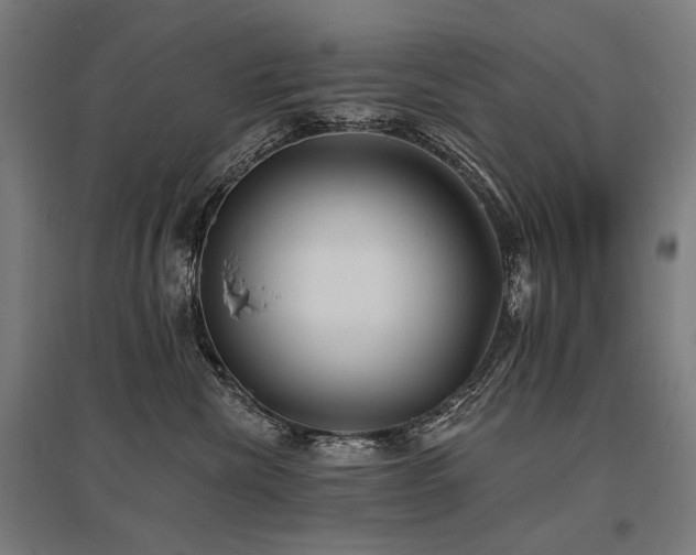 X0000096150476200801181206