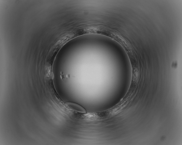 X0000096150477200801181206