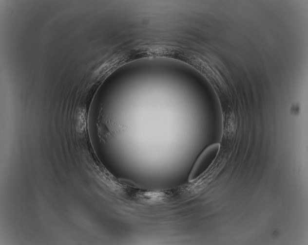 X0000096150478200801181206