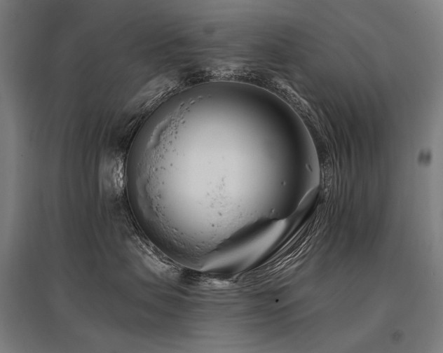X0000096150479200801181206