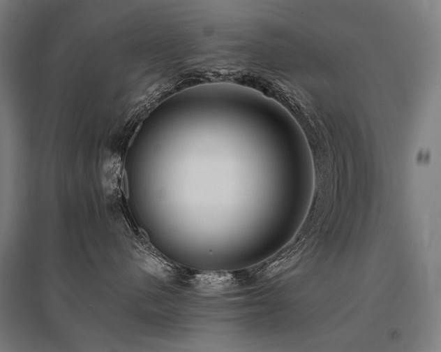 X0000096150480200801181206